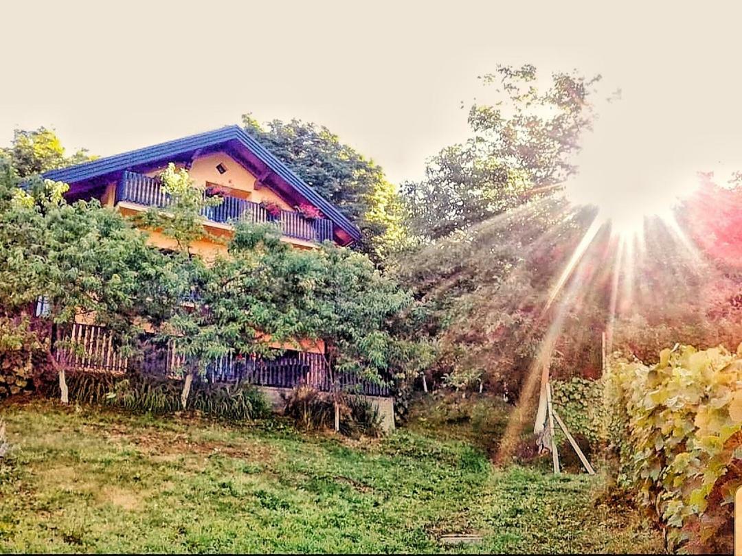 Apartman Potocki Krapina Ngoại thất bức ảnh